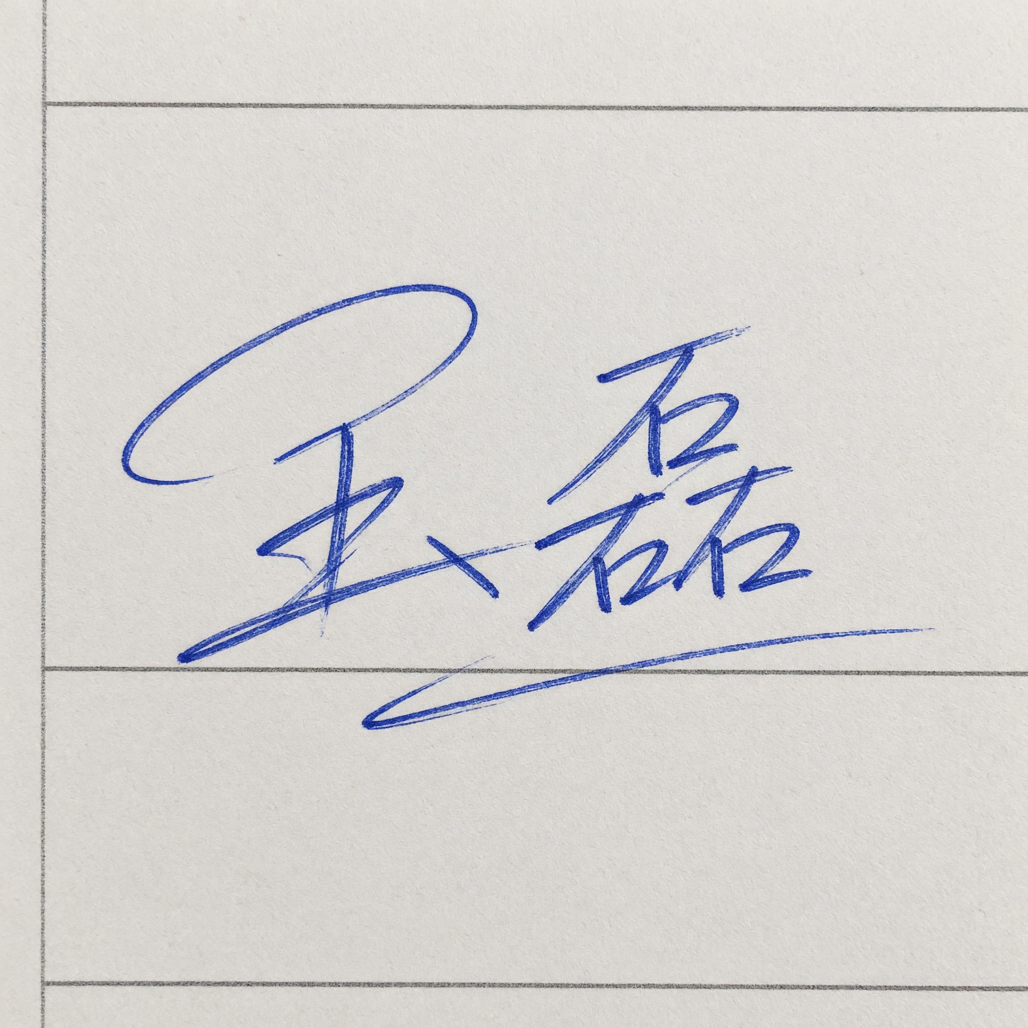 手写签名 AI 字体在 Grok Imagine 上的生成结果：文字 王磊